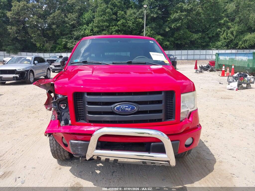 1FTEX1E84AFA67138 2010 FORD F-150 photo no. 12