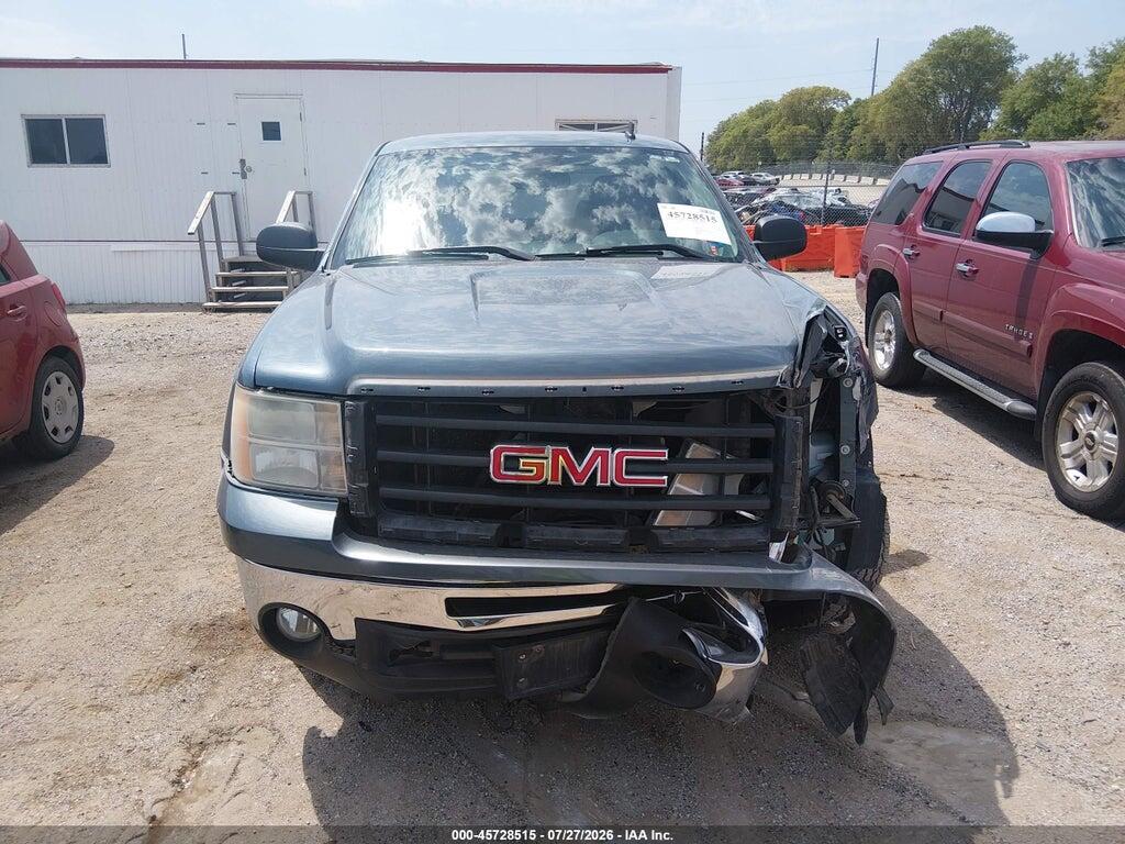 1GTSKVE32AZ206095 2010 GMC SIERRA 1500 photo no. 12