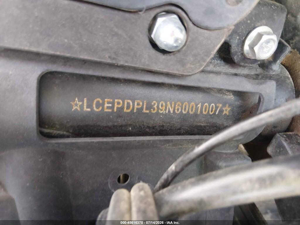 LCEPDPL39N6001007 2022 CF MOTO 300NK photo no. 10