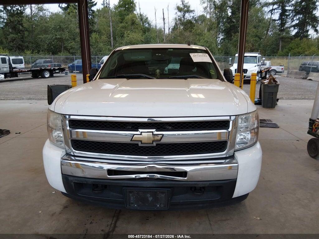 1GCEK29C09Z154354 2009 CHEVROLET SILVERADO 1500 photo no. 12