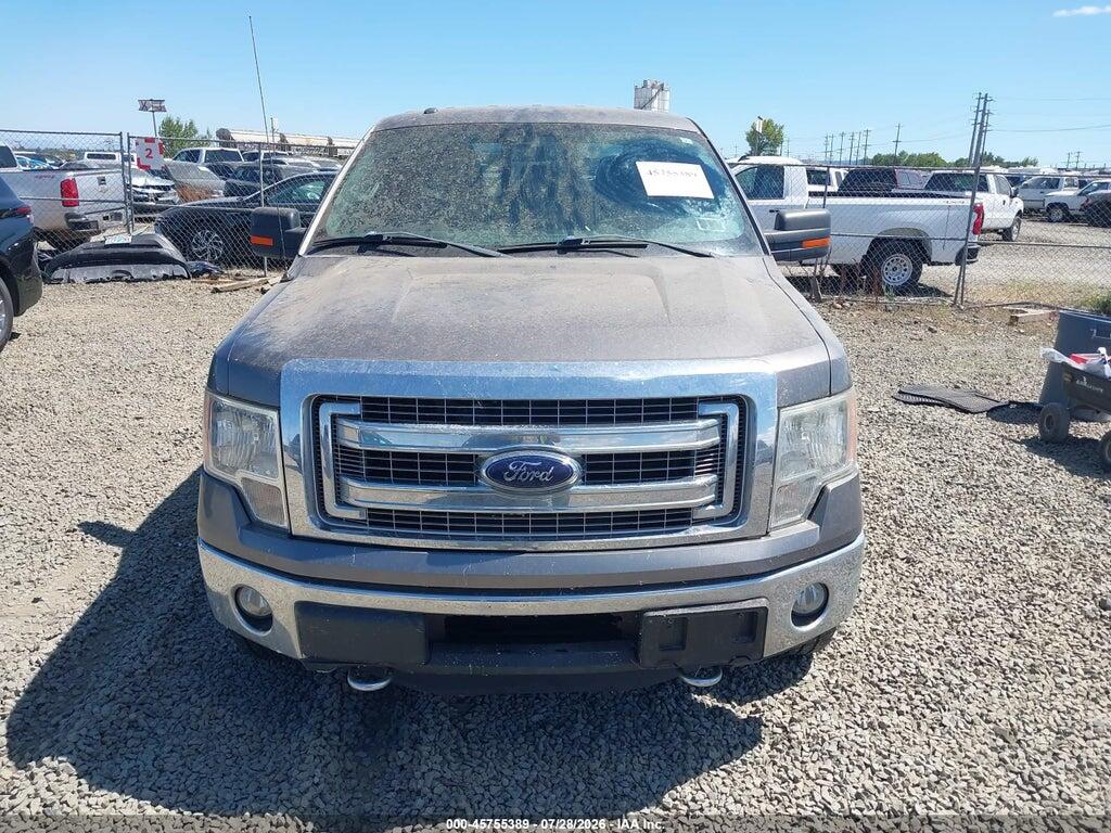 1FTFX1ET2DFA36192 2013 FORD F-150 photo no. 12