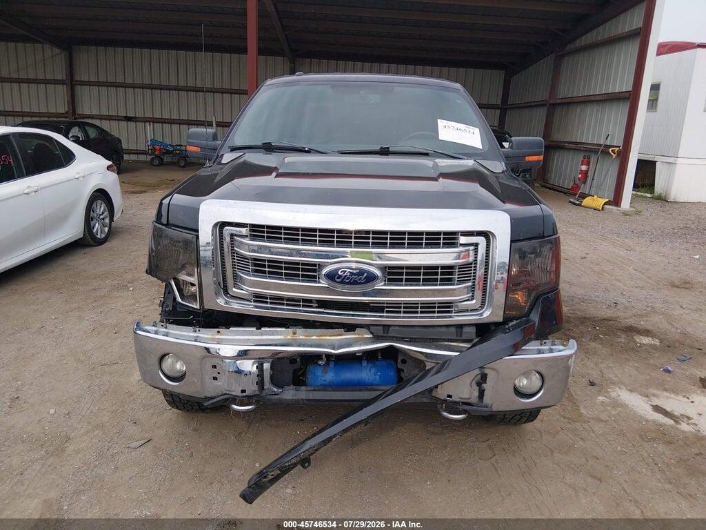 1FTFW1EF7DKE10929 2013 FORD F-150 photo no. 12