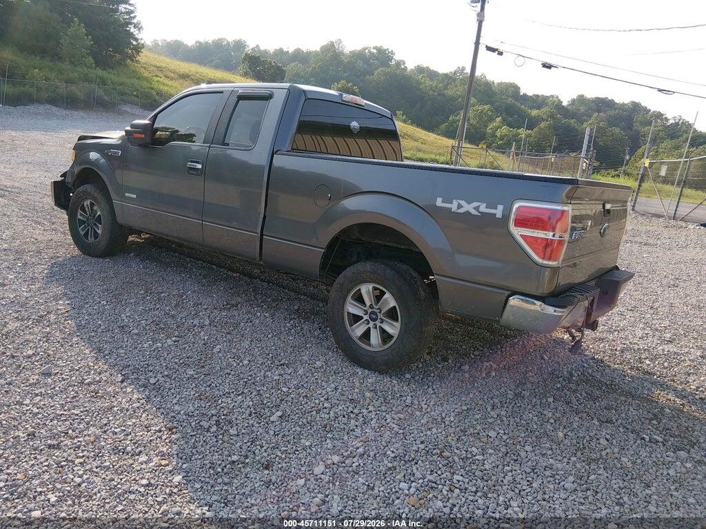 1FTFX1ET8DFB18251 2013 FORD F-150 photo no. 3