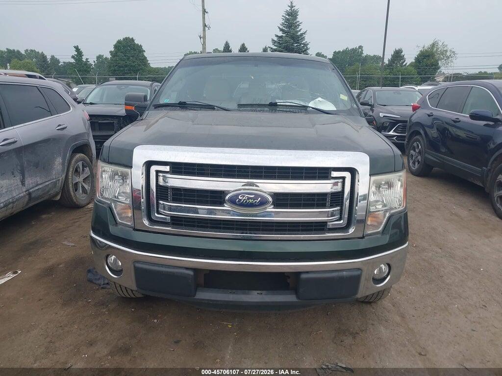 1FTEX1CM7DFB74429 2013 FORD F-150 photo no. 12