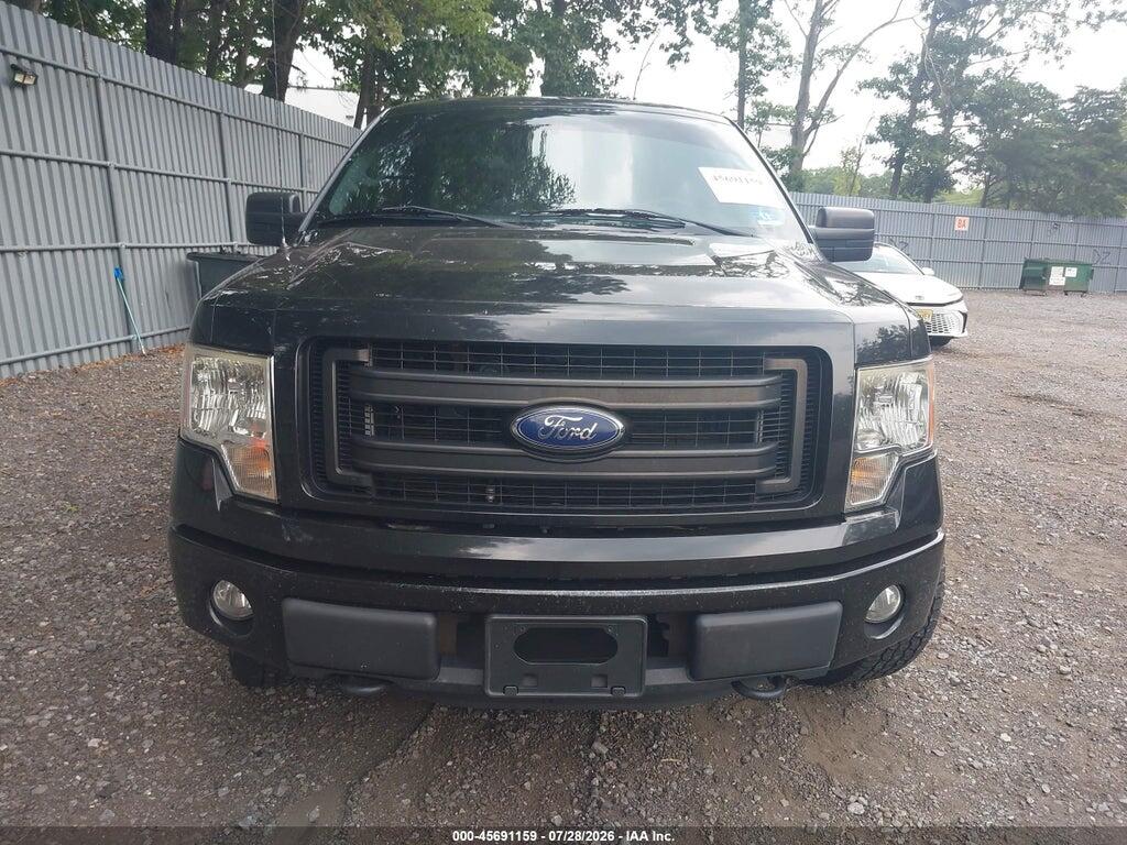 1FTFX1EF4DFD73666 2013 FORD F-150 photo no. 12