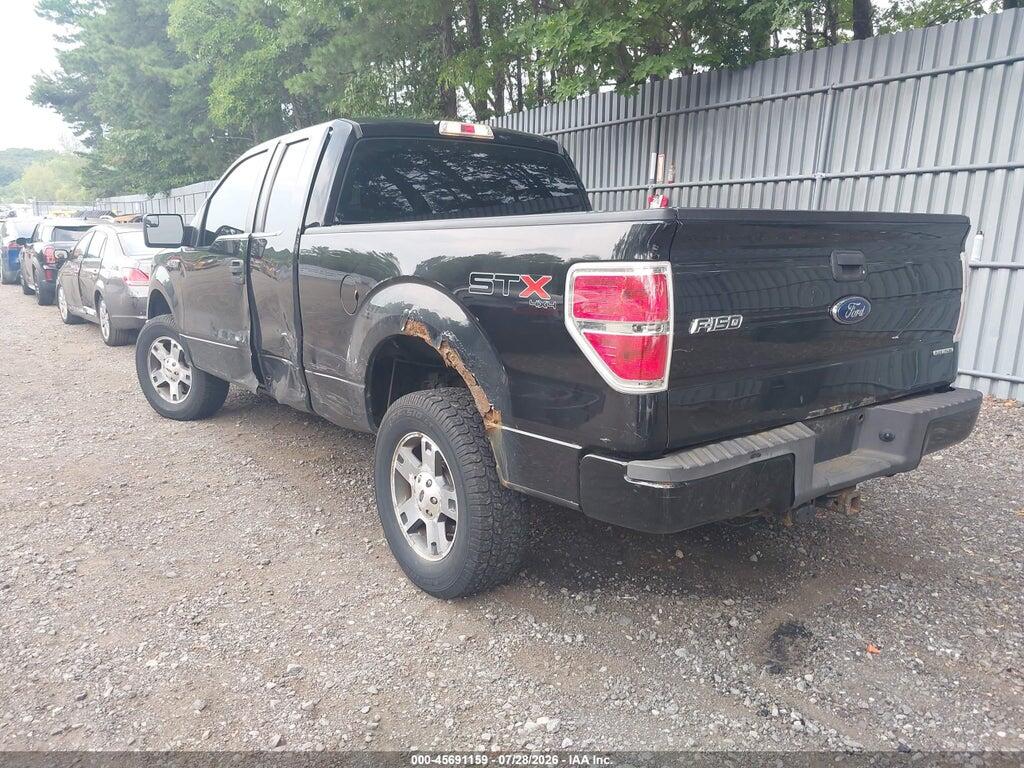 1FTFX1EF4DFD73666 2013 FORD F-150 photo no. 3