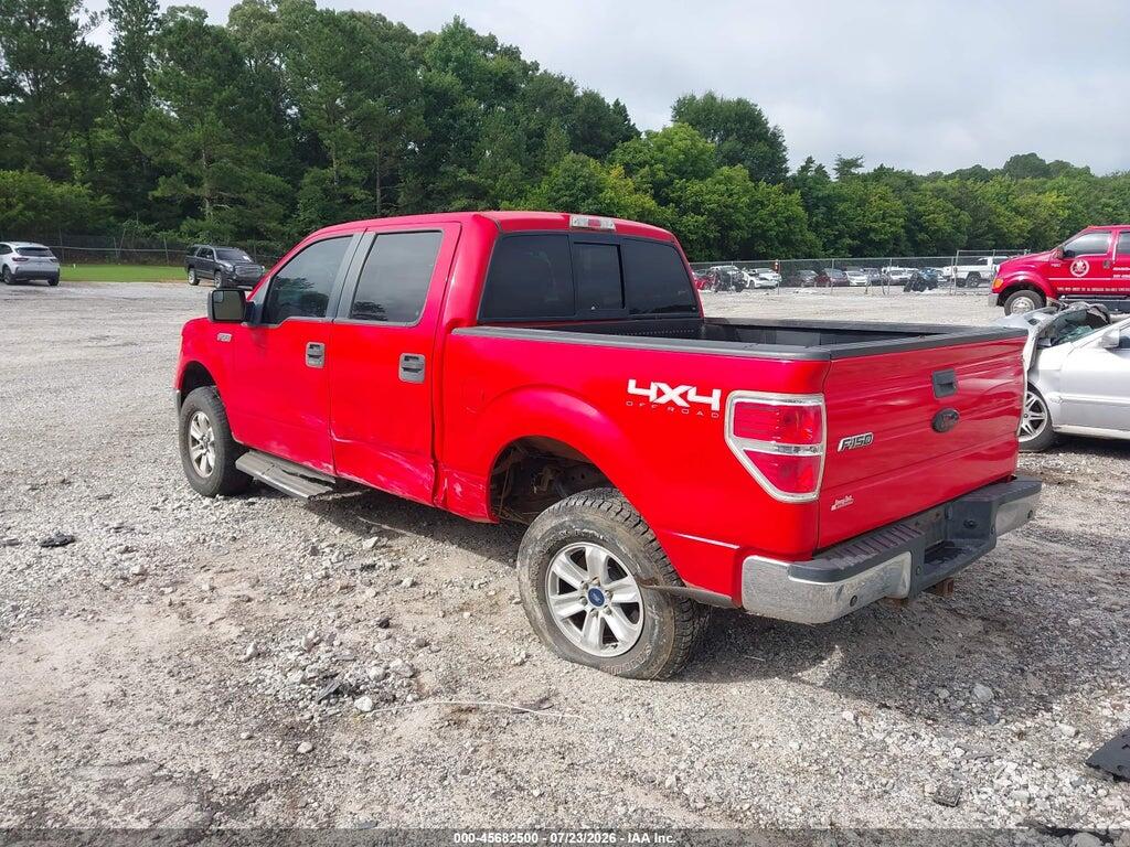 1FTFW1EFXDFC66902 2013 FORD F-150 photo no. 3