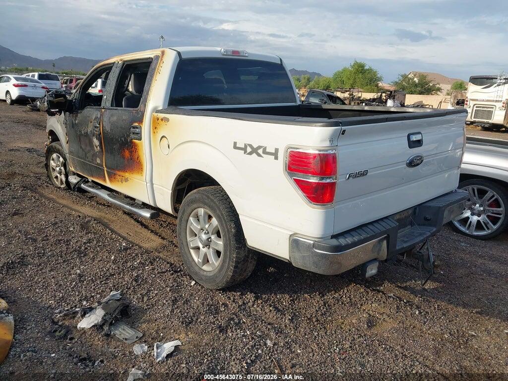 1FTFW1ET3DKE45862 2013 FORD F-150 photo no. 3