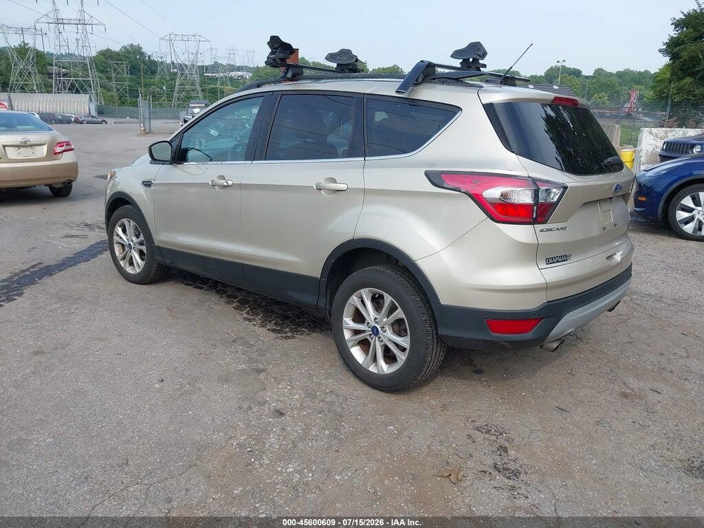 1FMCU0GD3HUB35189 2017 FORD ESCAPE photo no. 3