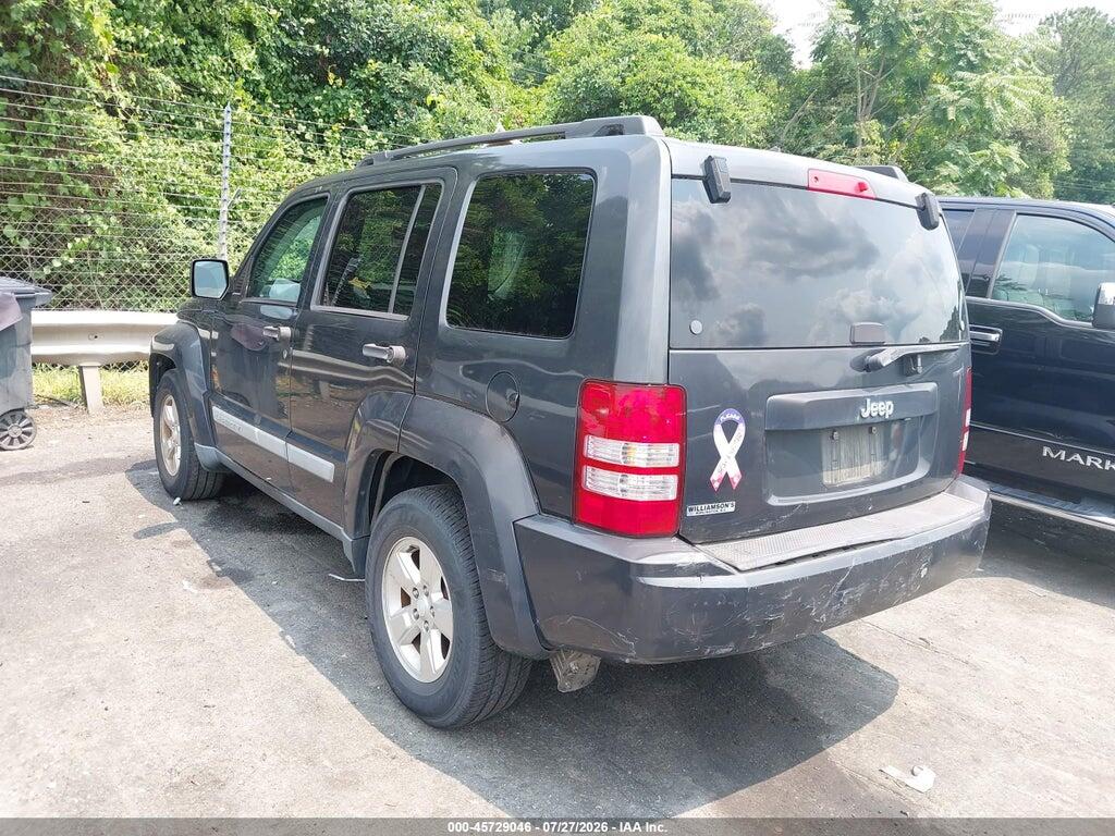 1J4PP2GK9AW156253 2010 JEEP LIBERTY photo no. 3