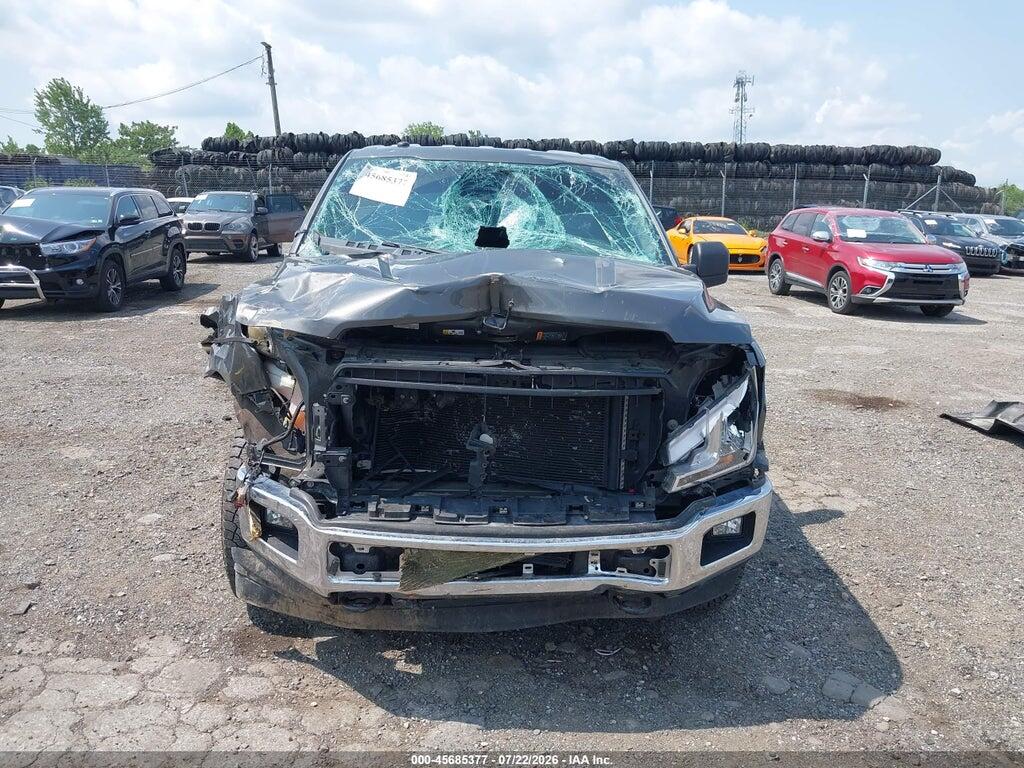 1FTMF1EP1KKD02173 2019 FORD F-150 photo no. 12