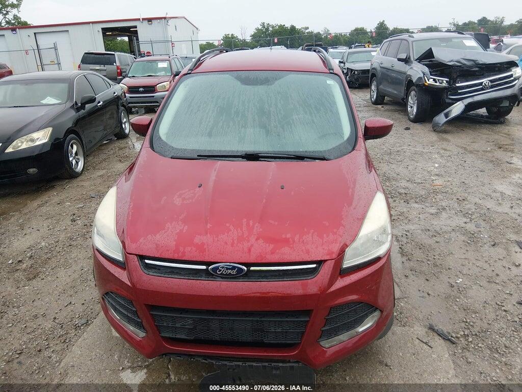 1FMCU0GX7EUB93134 2014 FORD ESCAPE photo no. 6