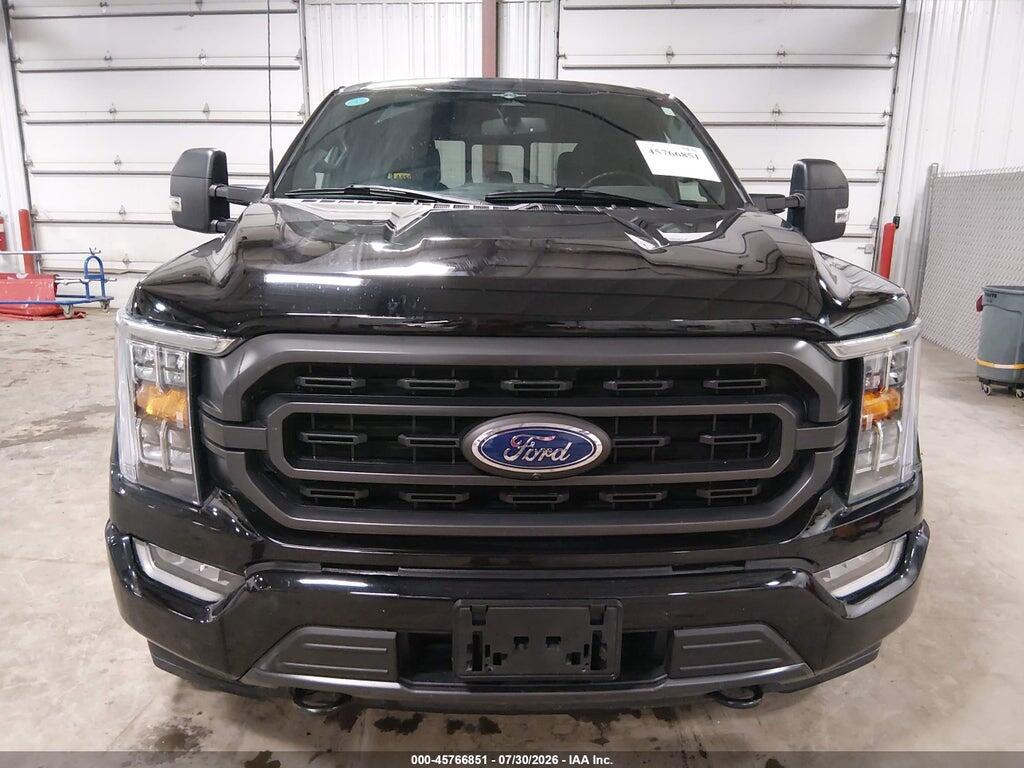 1FTFW1ED2PFB31481 2023 FORD F-150 photo no. 12