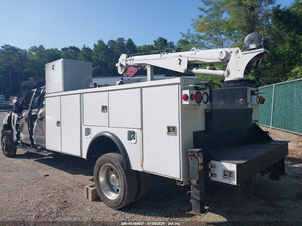 1FD0W4HT1HEE07646 2017 FORD F-450 CHASSIS photo no. 3