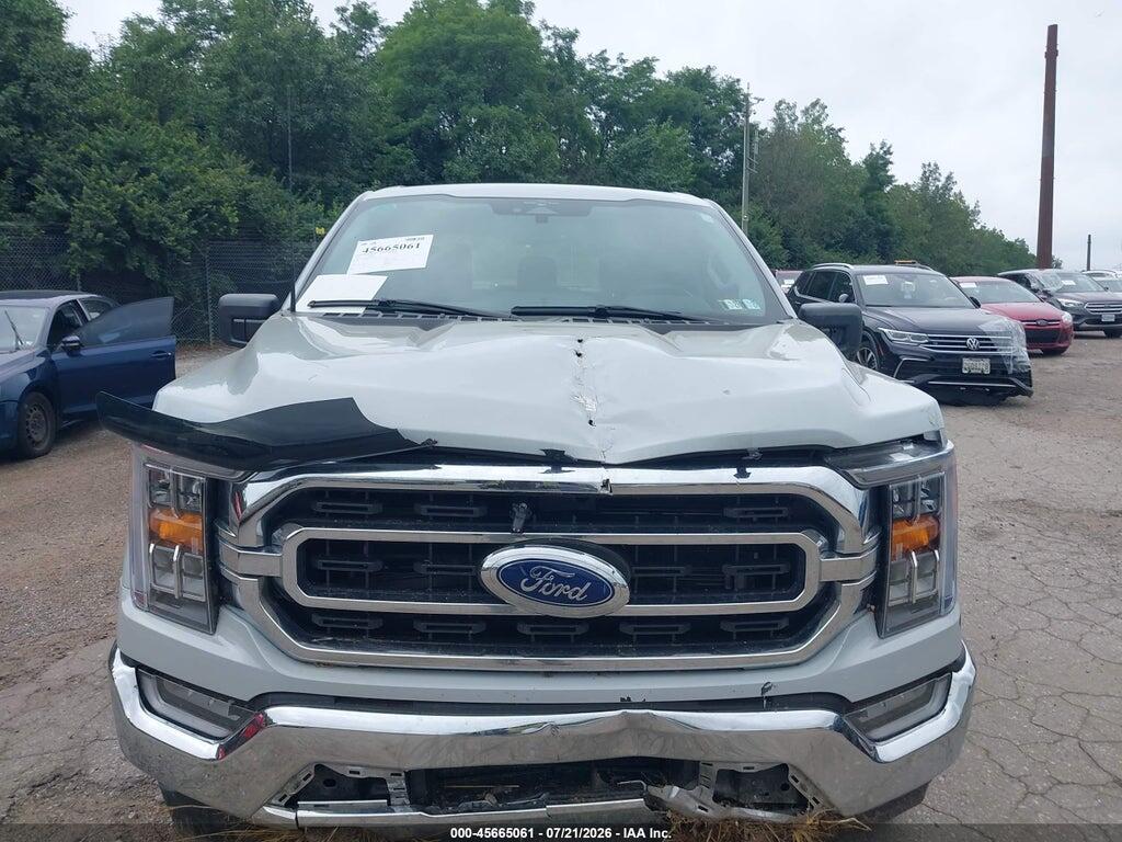 1FTFW1ED9PFB28061 2023 FORD F-150 photo no. 10