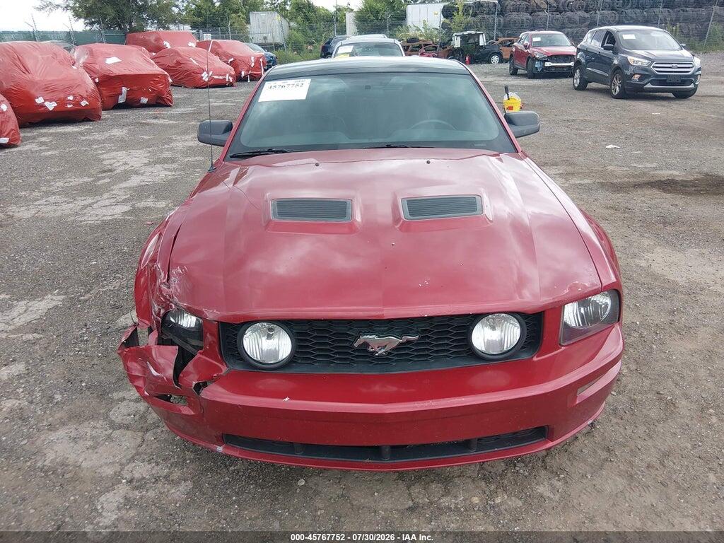 1ZVHT82H195118700 2009 FORD MUSTANG photo no. 12