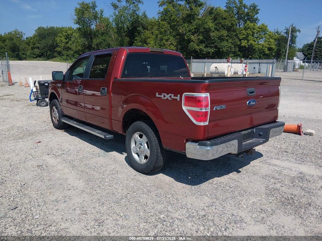 1FTFW1ET8EKE40450 2014 FORD F-150 photo no. 3