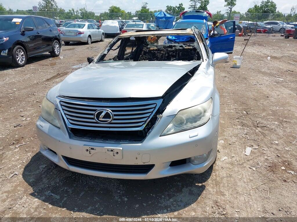 JTHCL5EF5A5008211 2010 LEXUS LS 460 photo no. 6