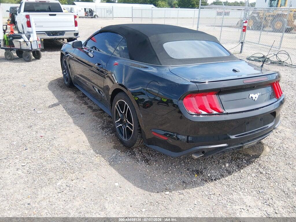 1FATP8UH8P5109655 2023 FORD MUSTANG photo no. 3