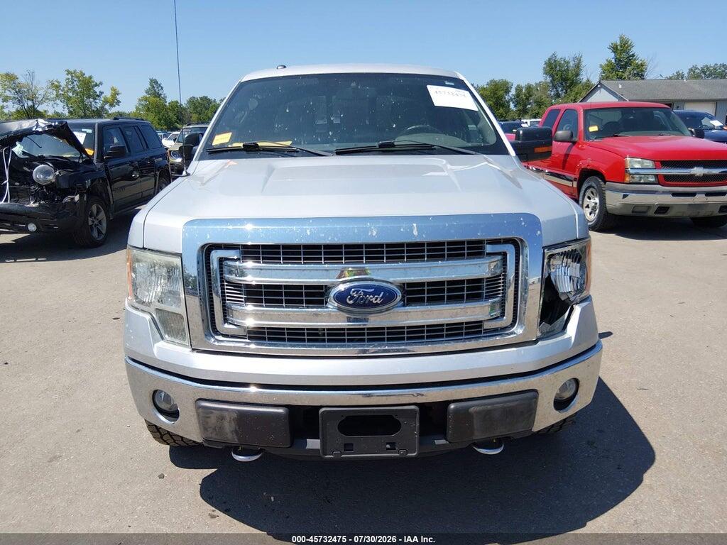 1FTFX1EF5EKG19343 2014 FORD F-150 photo no. 12