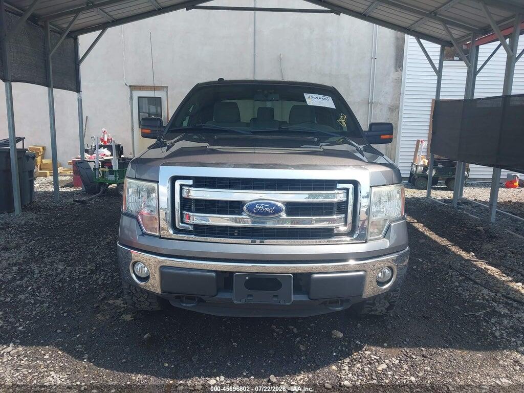 1FTFX1EFXEFA22150 2014 FORD F-150 photo no. 12