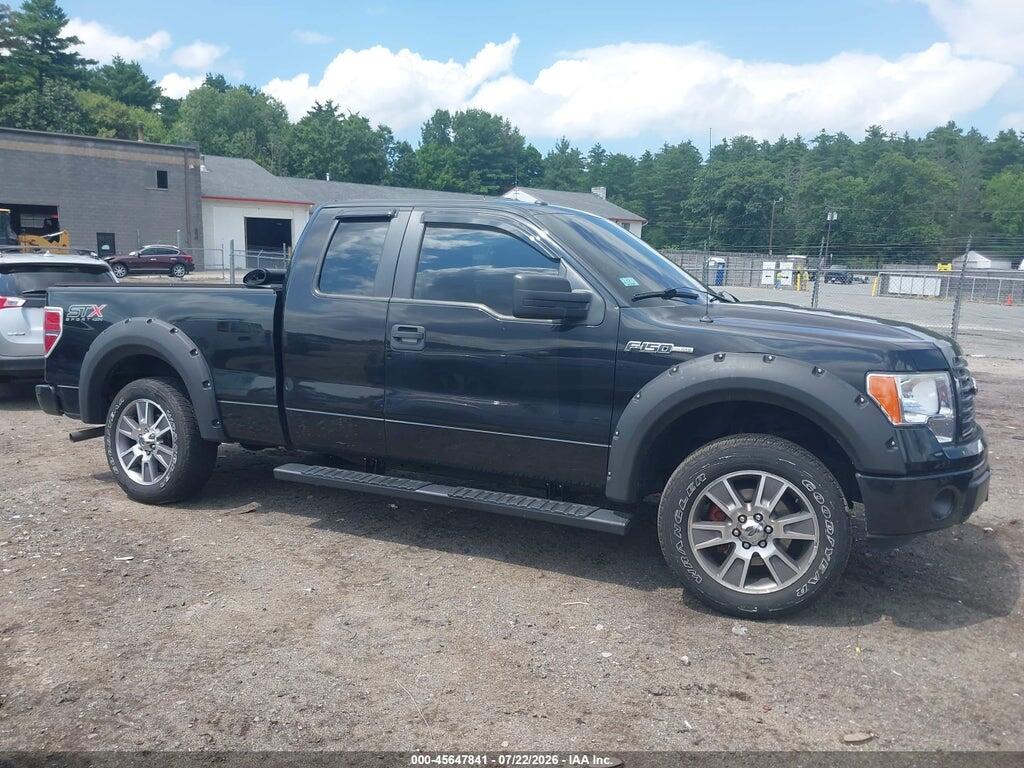 1FTEX1EM3EKG01837 2014 FORD F-150 photo no. 12