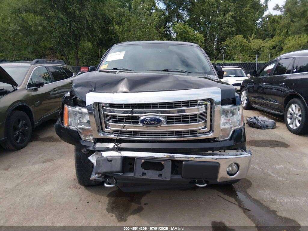 1FTFW1EF5EFC36207 2014 FORD F-150 photo no. 12