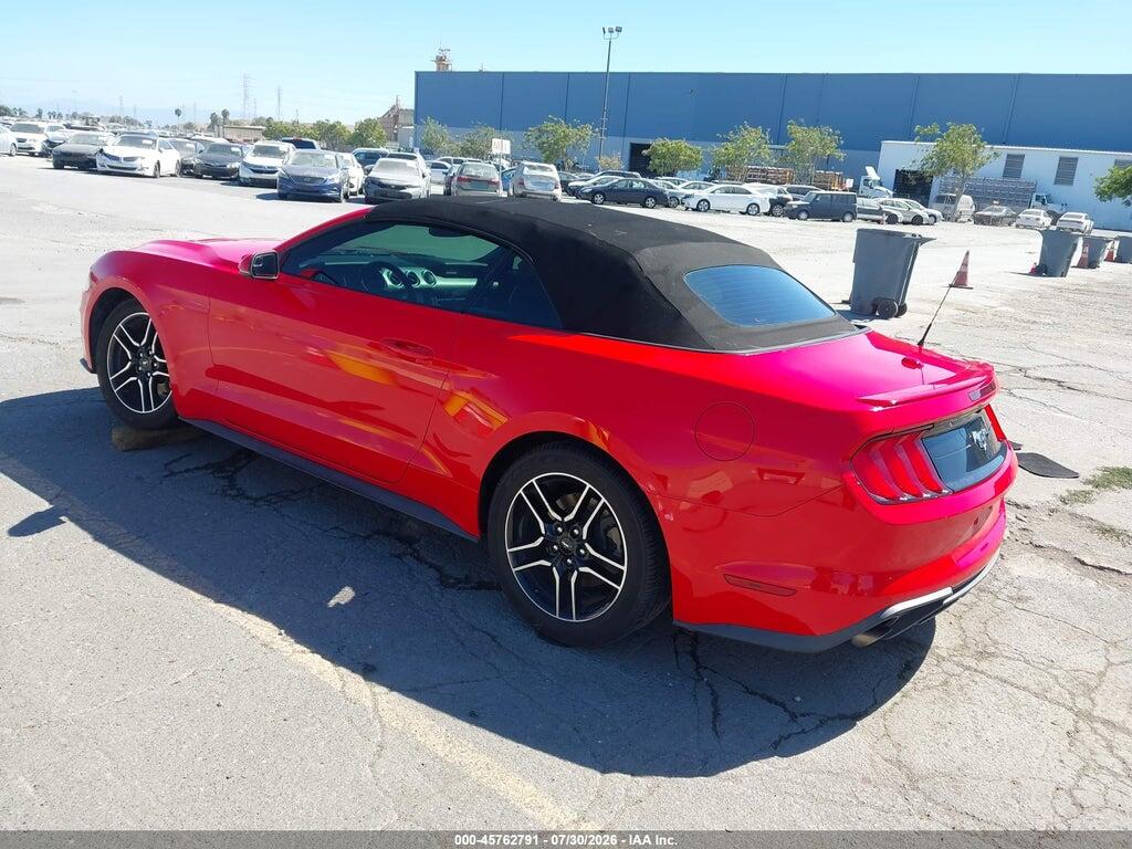 1FATP8UH0K5171026 2019 FORD MUSTANG photo no. 3