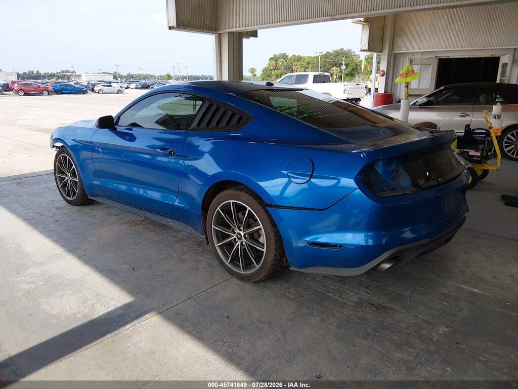 1FA6P8TH8K5184900 2019 FORD MUSTANG photo no. 3
