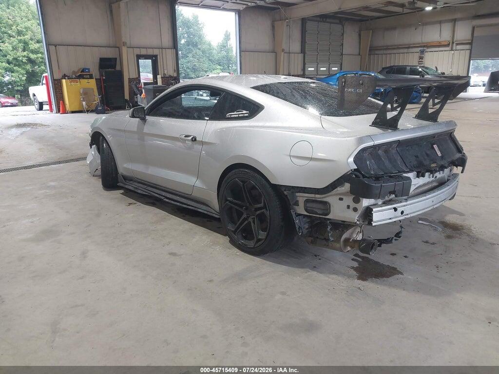 1FA6P8THXK5181125 2019 FORD MUSTANG photo no. 3
