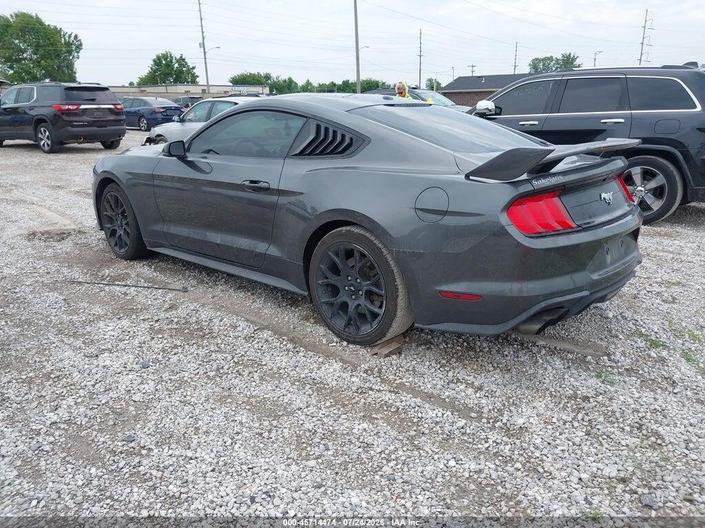 1FA6P8TH2K5134073 2019 FORD MUSTANG photo no. 3