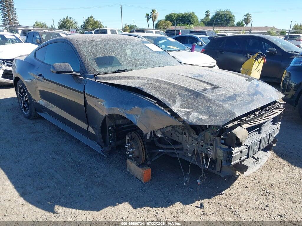 1FA6P8TH7K5194916 2019 FORD MUSTANG photo no. 1