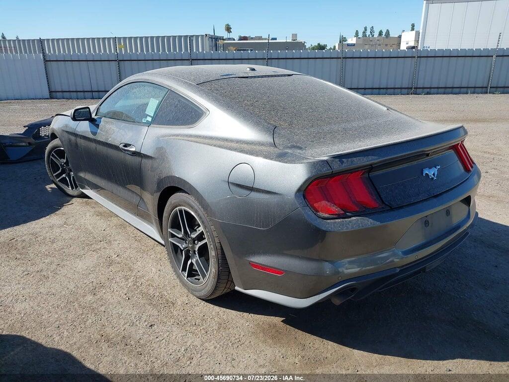 1FA6P8TH7K5194916 2019 FORD MUSTANG photo no. 3