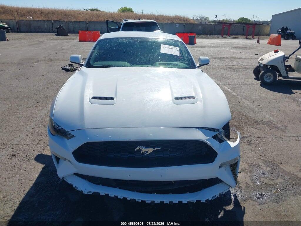 1FA6P8TH8K5169295 2019 FORD MUSTANG photo no. 12