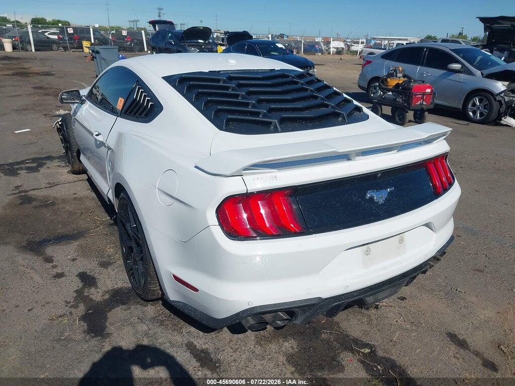 1FA6P8TH8K5169295 2019 FORD MUSTANG photo no. 3