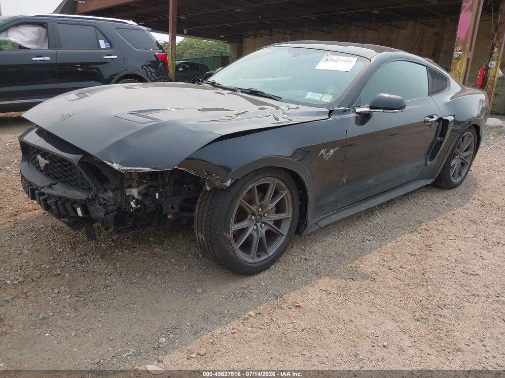 1FA6P8TH0K5124058 2019 FORD MUSTANG photo no. 6