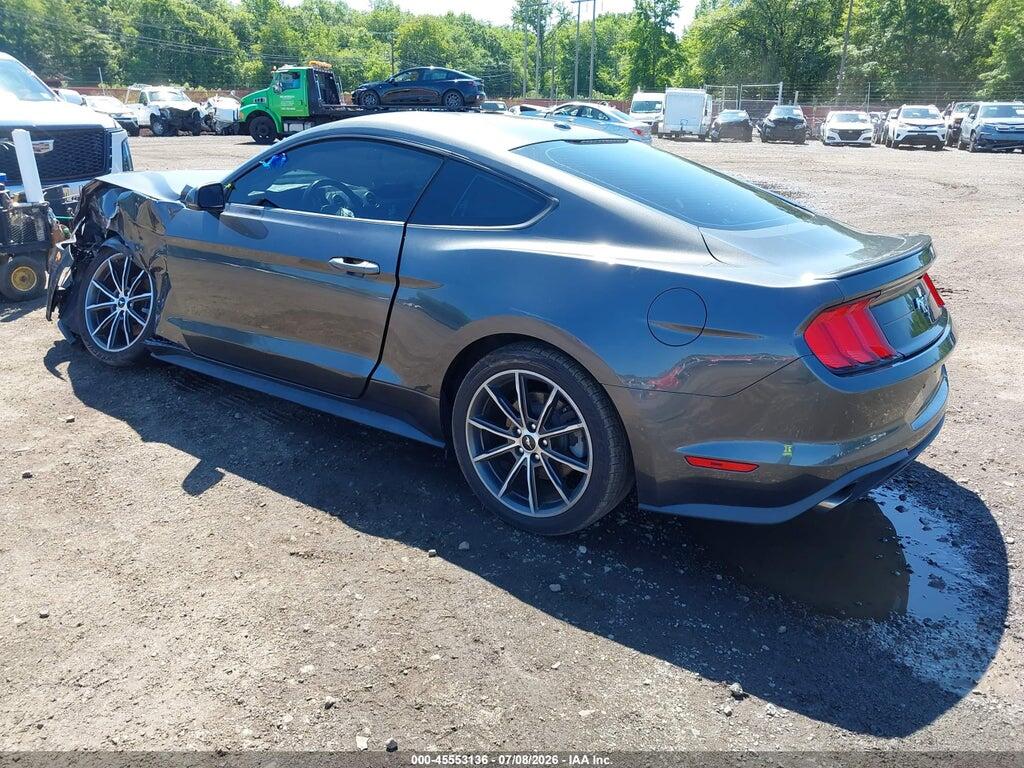 1FA6P8TH9K5181522 2019 FORD MUSTANG photo no. 3