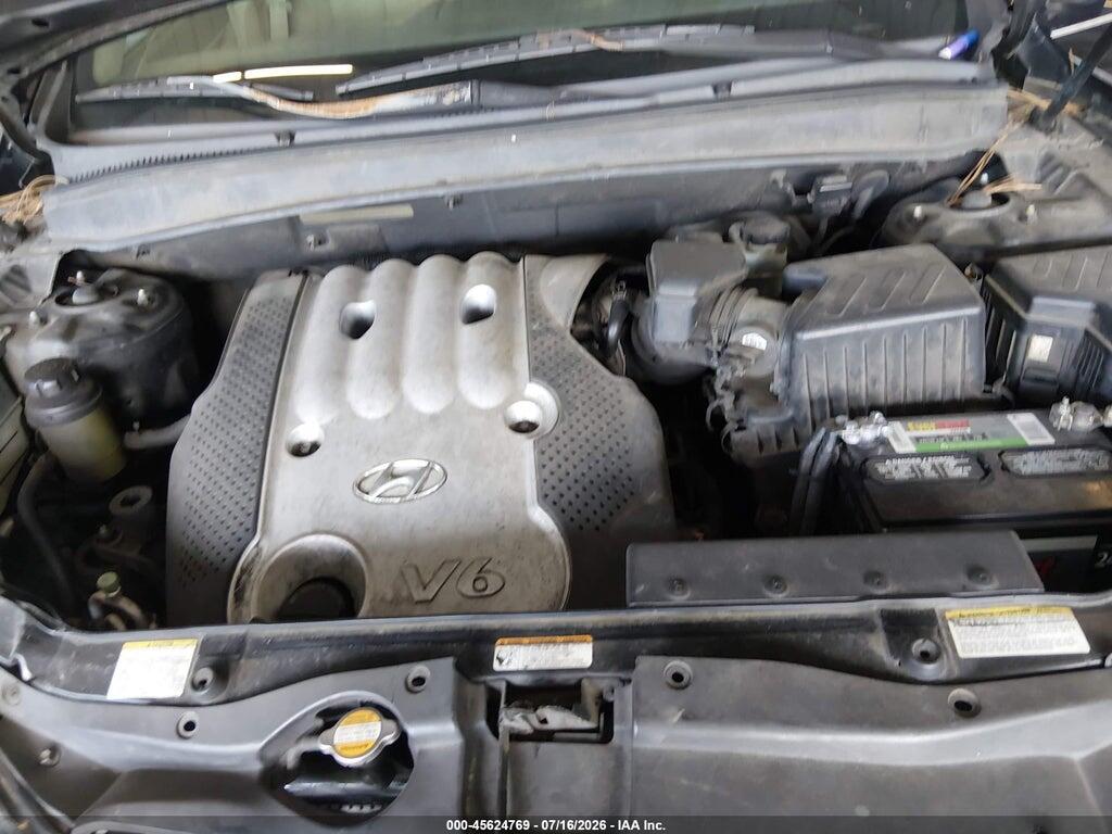 5NMSG13D77H054432 2007 HYUNDAI SANTA FE photo no. 10