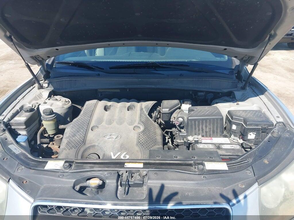5NMSG13D87H098763 2007 HYUNDAI SANTA FE photo no. 10