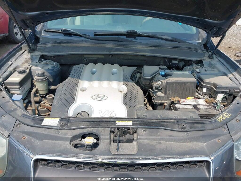 5NMSG13D77H046606 2007 HYUNDAI SANTA FE photo no. 10