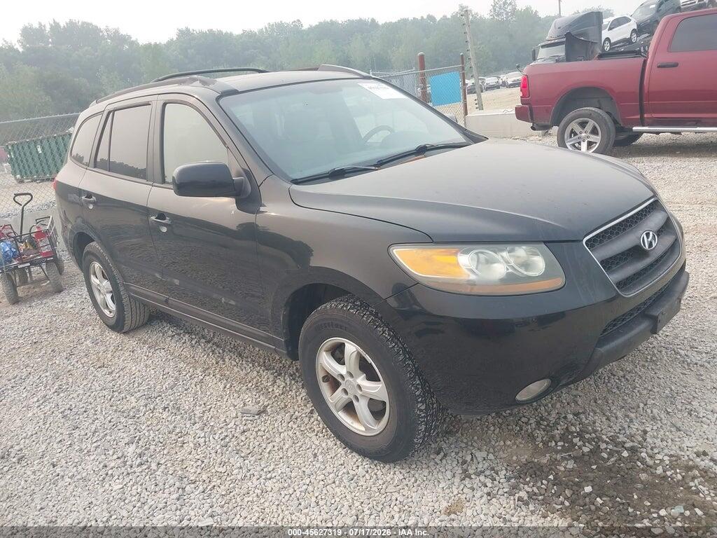 5NMSG13D17H041529 2007 HYUNDAI SANTA FE photo no. 1
