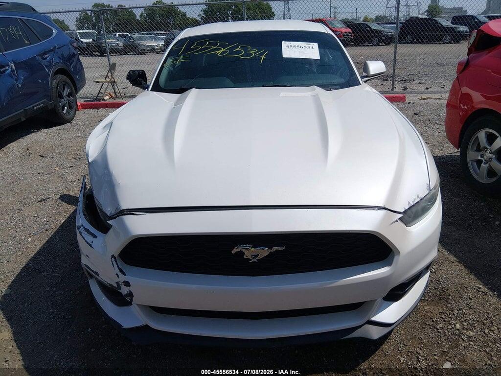 1FA6P8AM4H5230585 2017 FORD MUSTANG photo no. 12