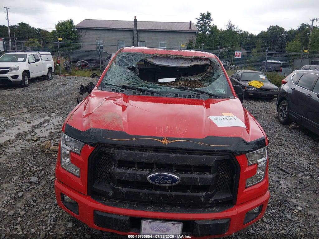 1FTMF1EPXGFC73577 2016 FORD F-150 photo no. 6