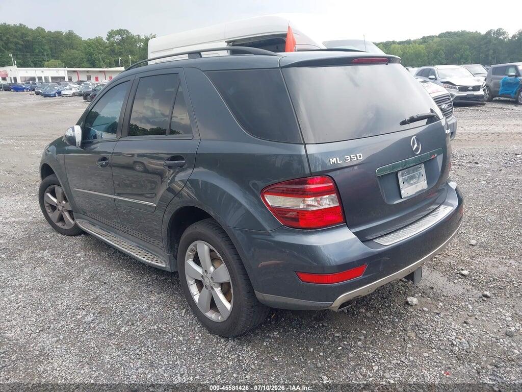4JGBB8GB6AA603048 2010 MERCEDES-BENZ ML 350 photo no. 3