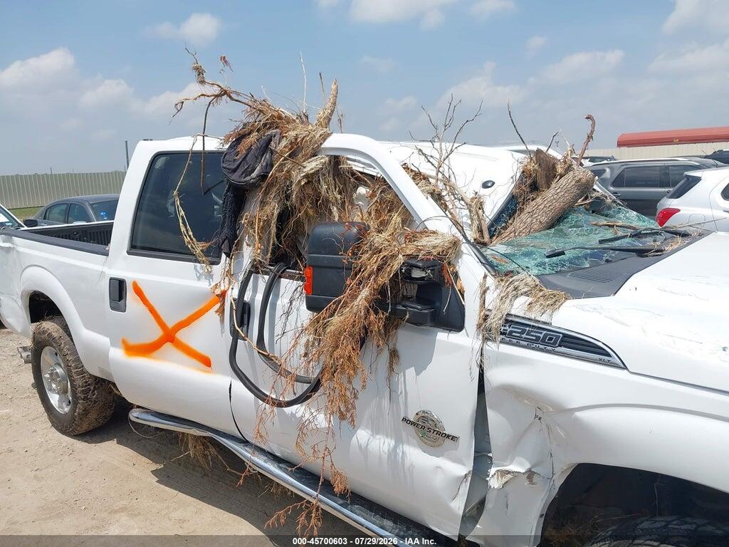 1FT7W2BT9GEA65832 2016 FORD F-250 photo no. 12