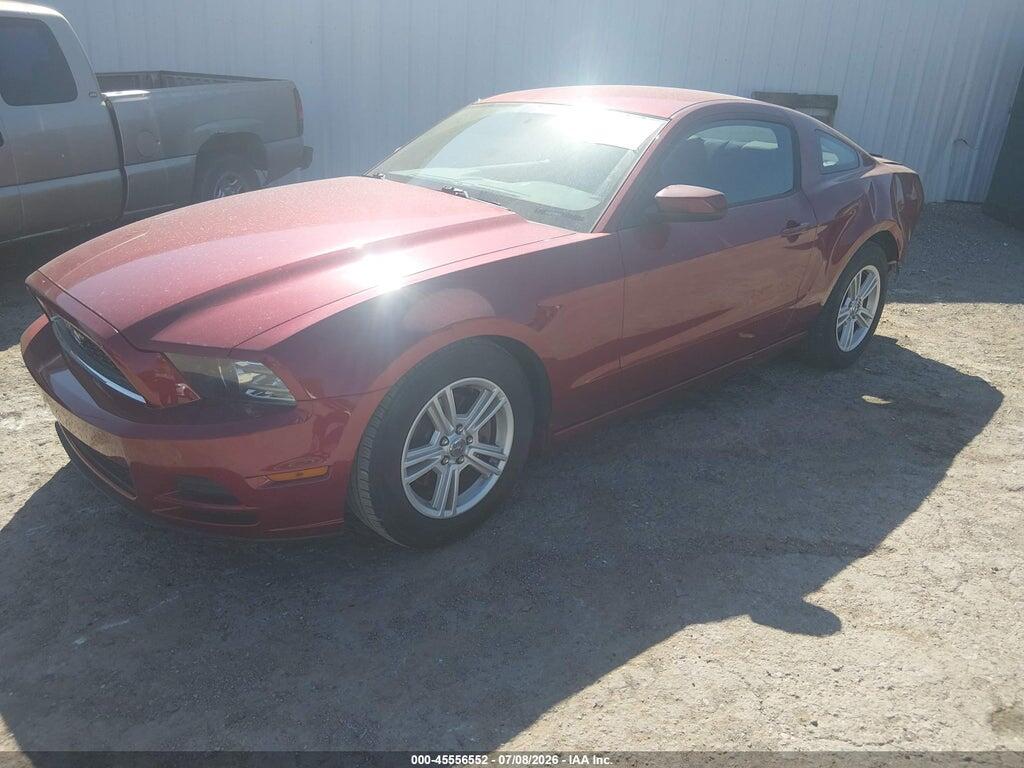 1ZVBP8AM7E5284495 2014 FORD MUSTANG photo no. 2