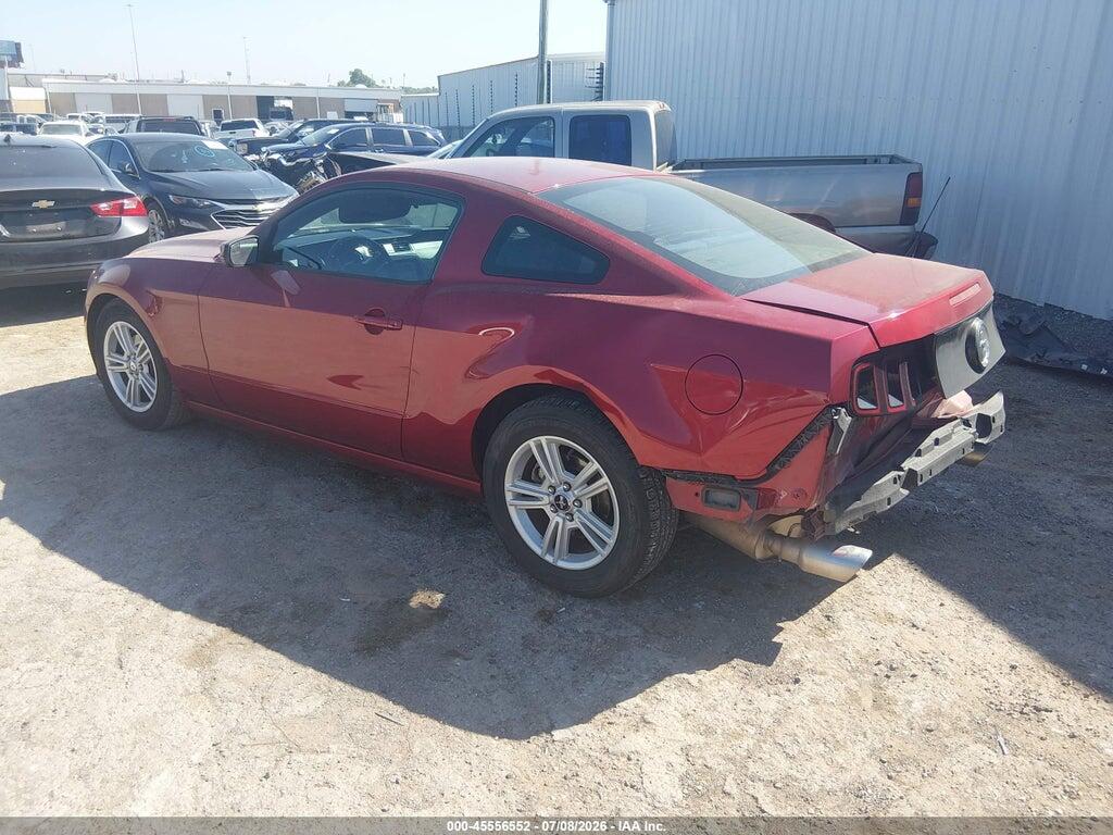 1ZVBP8AM7E5284495 2014 FORD MUSTANG photo no. 3