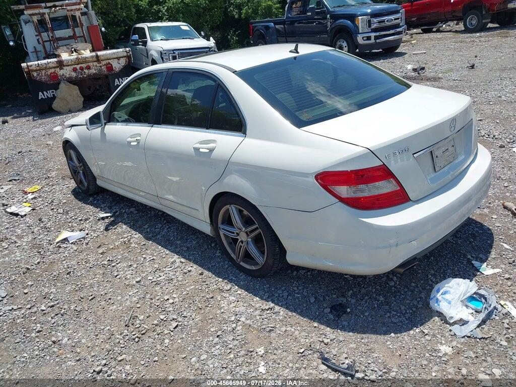 WDDGF5EB3AA394275 2010 MERCEDES-BENZ C 300 photo no. 3