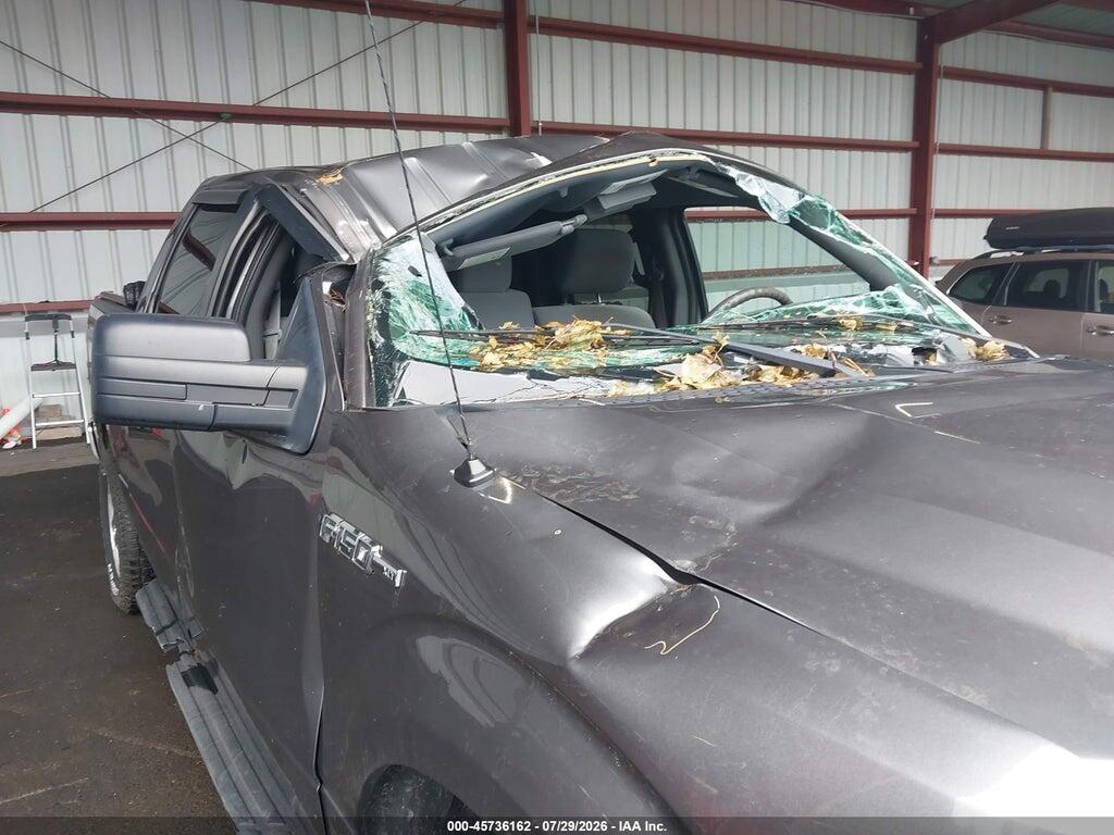 1FTFW1EF2CFC46965 2012 FORD F-150 photo no. 6