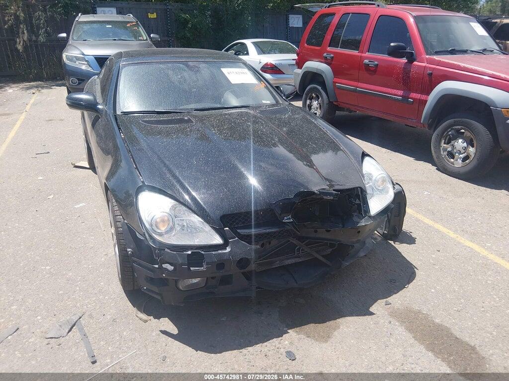 WDBWK5EA0AF230458 2010 MERCEDES-BENZ SLK 300 photo no. 12
